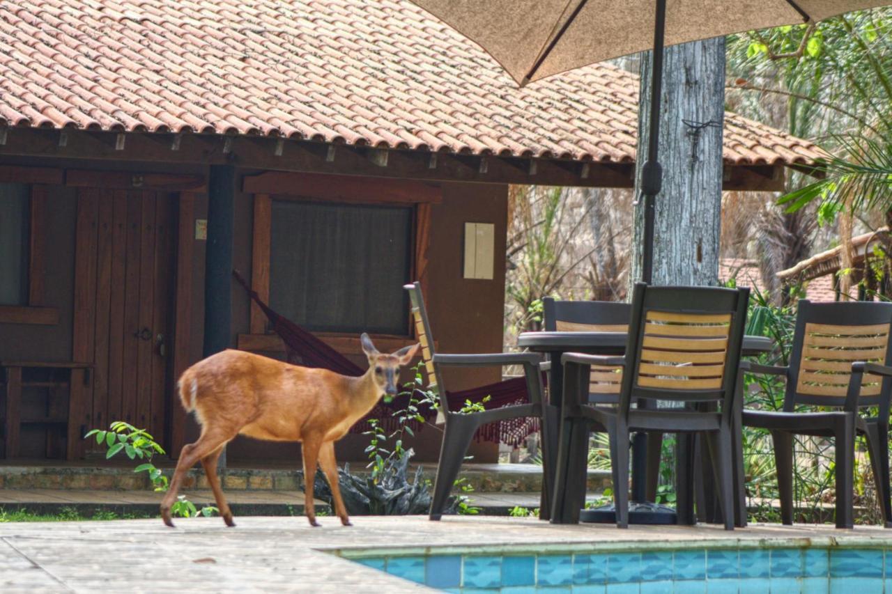 Aymara Lodge Поконе Екстер'єр фото